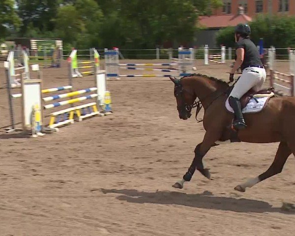 Reitturnier Demantsfürth/Mfr. 2024