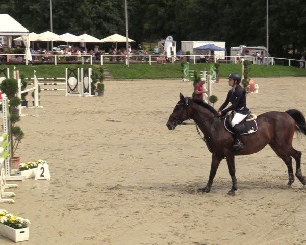 Reitturnier Bergisch Gladbach - Hebborner Hof 2024