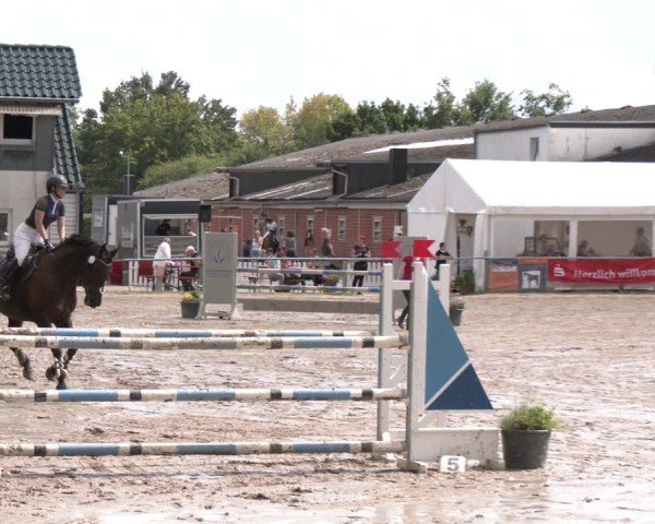 Reitturnier Datteln 2024