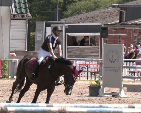 Reitturnier Datteln 2024