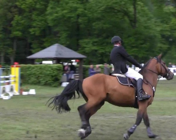 Stukenbrock 2013