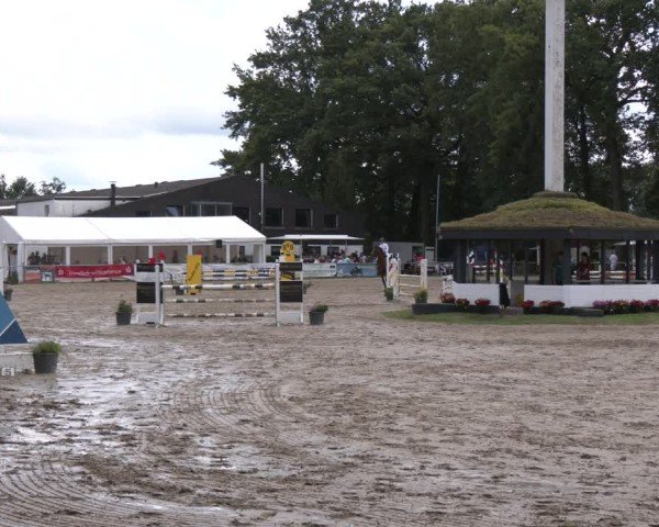 Reitturnier Datteln 2024