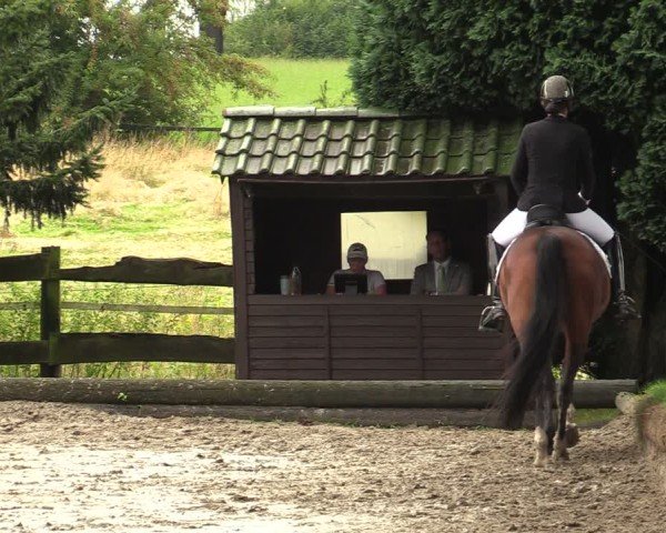 Reitturnier Datteln 2024
