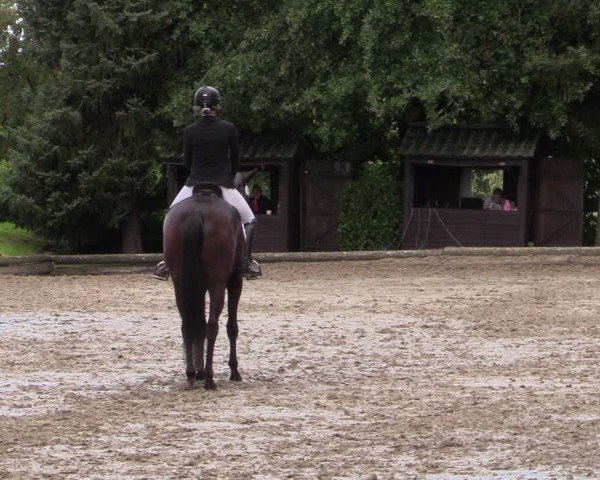 Reitturnier Datteln 2024