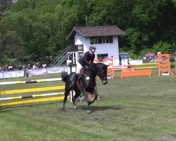 Stukenbrock 2013