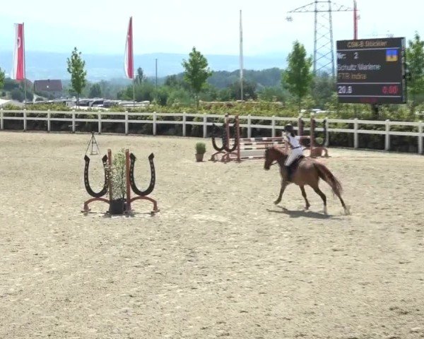 Reitturnier St. Margarethen 2024