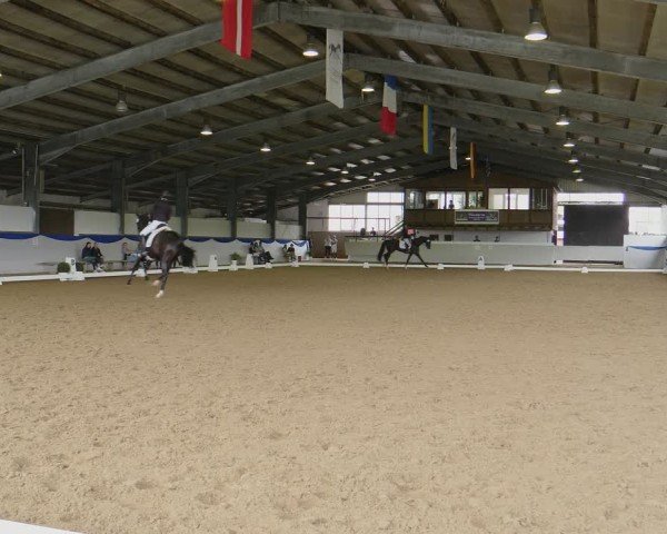 Reitturnier Münster-Albachten 2024