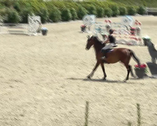 Reitturnier St. Margarethen 2024