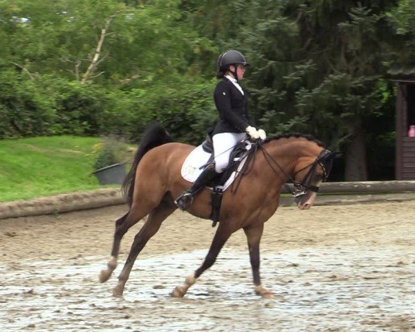Reitturnier Datteln 2024
