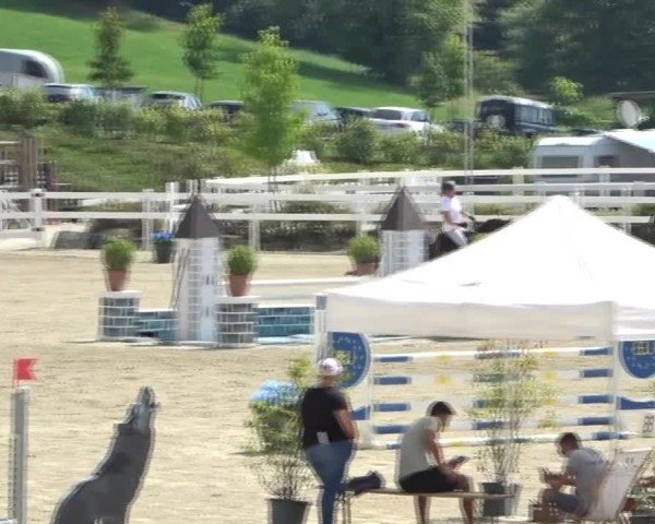 Reitturnier St. Margarethen 2024