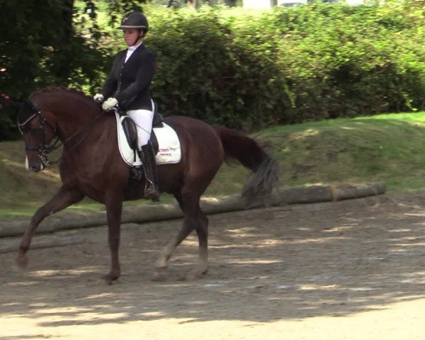 Reitturnier Datteln 2024