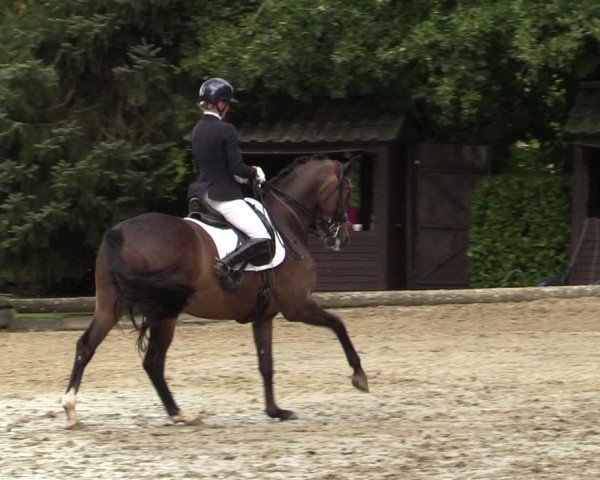 Reitturnier Datteln 2024