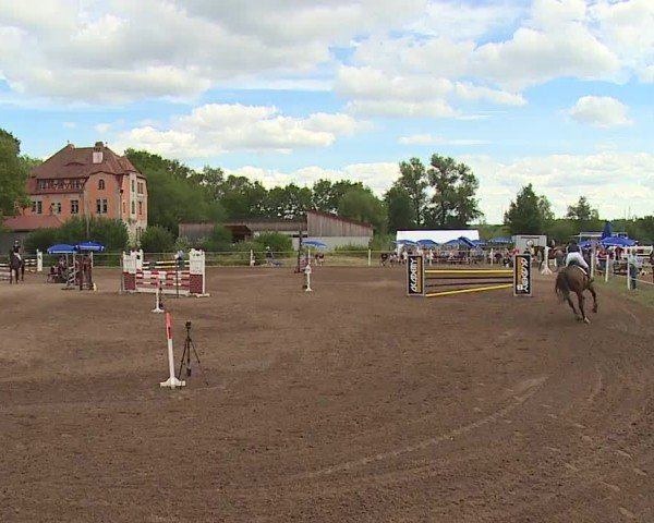 Reitturnier Demantsfürth/Mfr. 2024