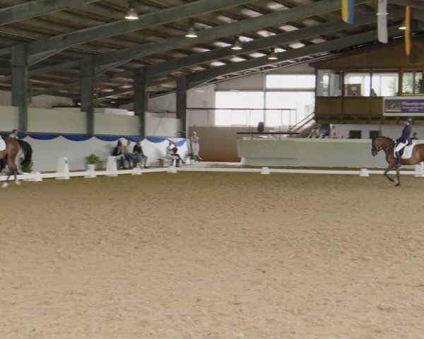 Reitturnier Münster-Albachten 2024