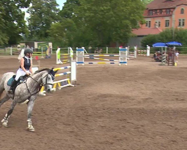 Reitturnier Demantsfürth/Mfr. 2024