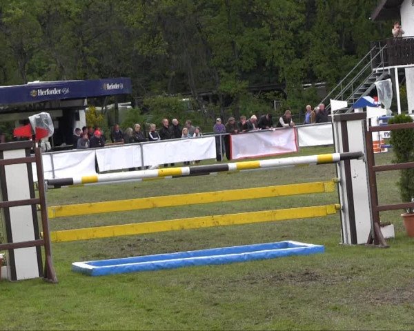 Stukenbrock 2013