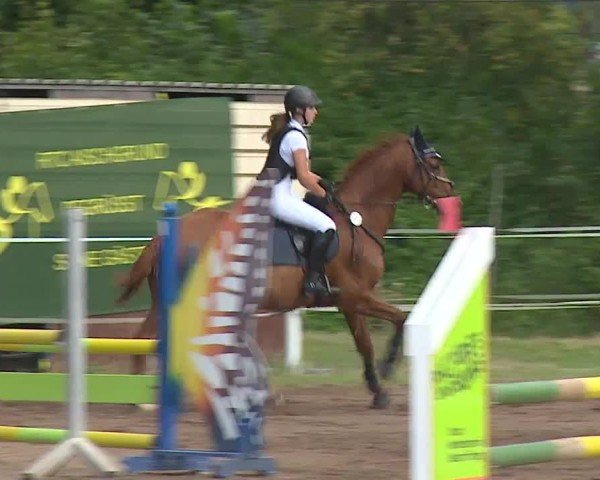 Reitturnier Demantsfürth/Mfr. 2024