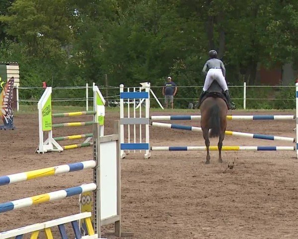 Reitturnier Demantsfürth/Mfr. 2024