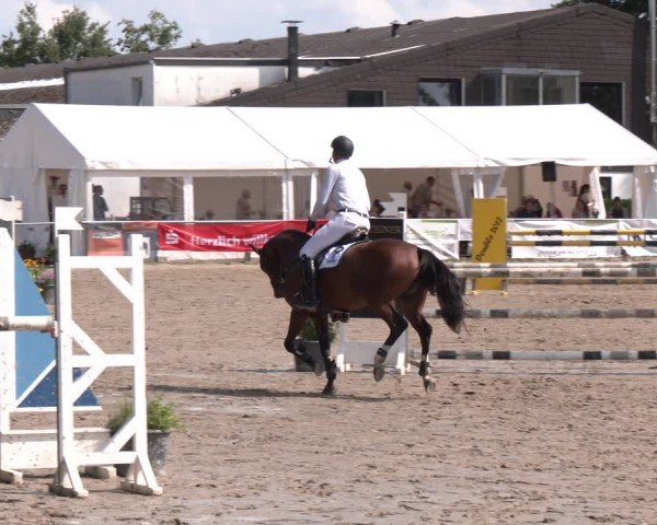 Reitturnier Datteln 2024