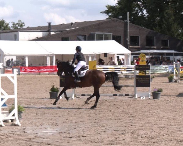 Reitturnier Datteln 2024