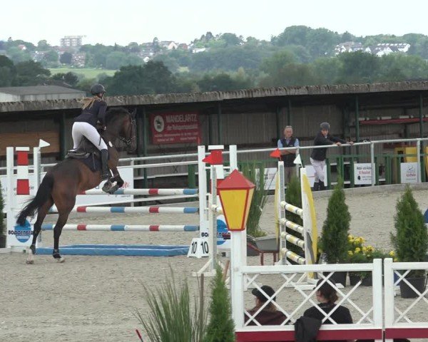 Reitturnier Stolberg-Büsbach 2024