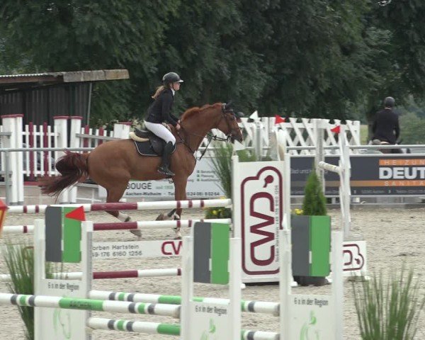 Reitturnier Stolberg-Büsbach 2024