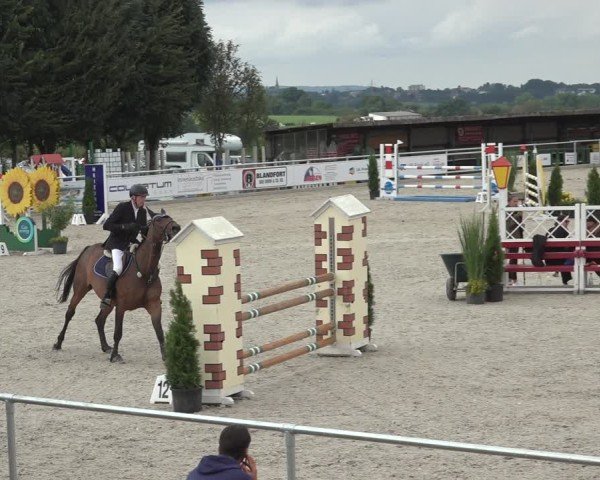 Reitturnier Stolberg-Büsbach 2024