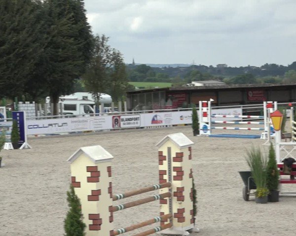 Reitturnier Stolberg-Büsbach 2024