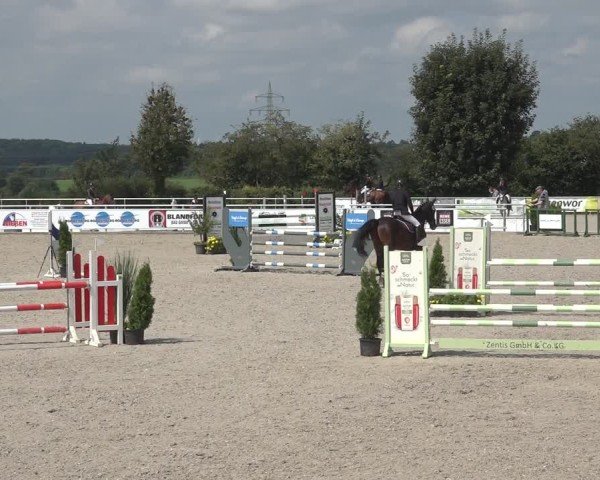 Reitturnier Stolberg-Büsbach 2024