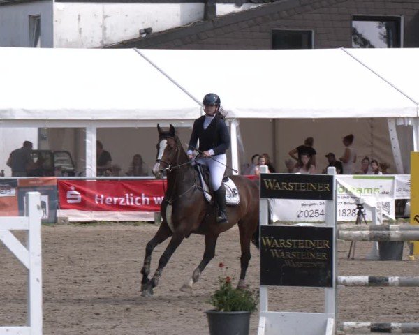 Reitturnier Datteln 2024