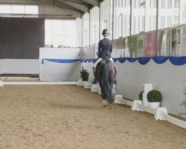 Reitturnier Münster-Albachten 2024