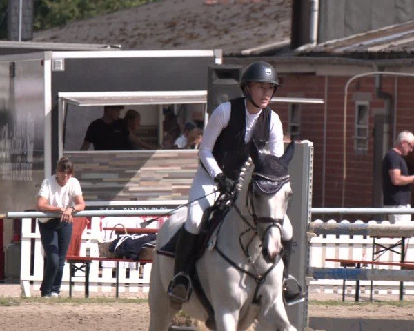 Reitturnier Datteln 2024