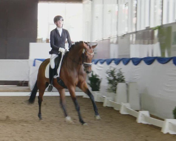 Reitturnier Münster-Albachten 2024