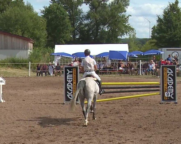 Reitturnier Demantsfürth/Mfr. 2024