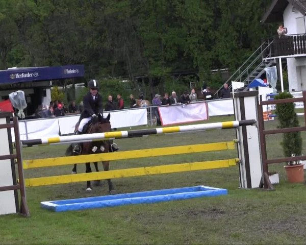 Stukenbrock 2013