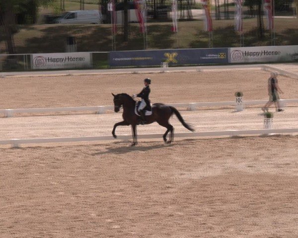 Reitturnier Stadl-Paura 2024