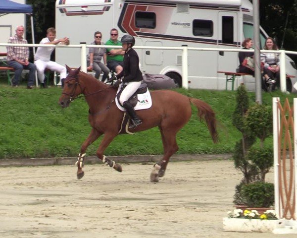 Reitturnier Bergisch Gladbach - Hebborner Hof 2024
