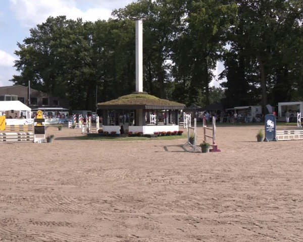 Reitturnier Datteln 2024