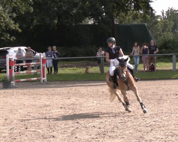 Reitturnier Datteln 2024