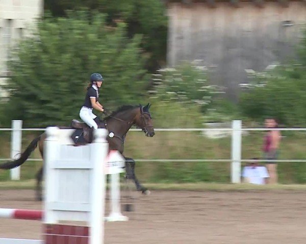 Reitturnier Demantsfürth/Mfr. 2024