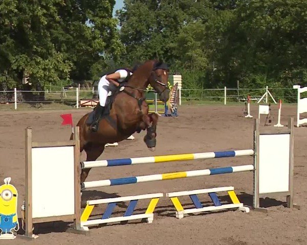 Reitturnier Demantsfürth/Mfr. 2024