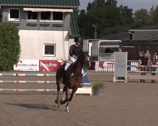 Reitturnier Datteln 2024
