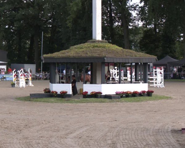 Reitturnier Datteln 2024
