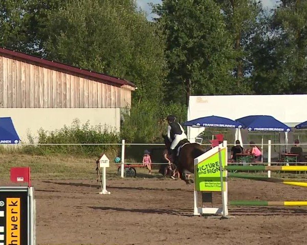 Reitturnier Demantsfürth/Mfr. 2024