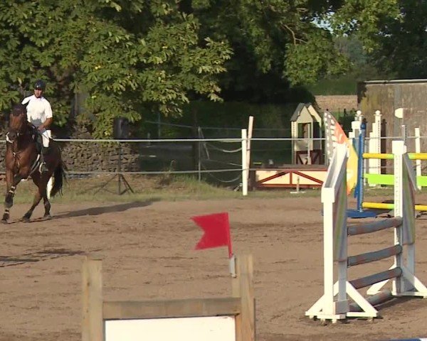 Reitturnier Demantsfürth/Mfr. 2024