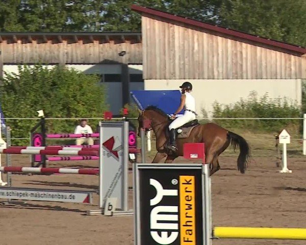 Reitturnier Demantsfürth/Mfr. 2024