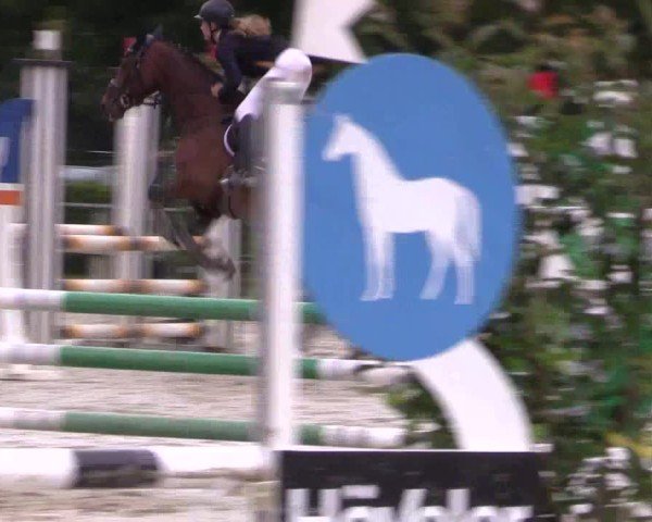 Reitturnier Münster-Albachten 2024