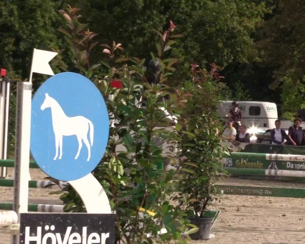 Reitturnier Münster-Albachten 2024