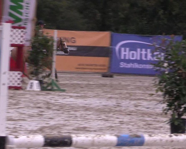 Reitturnier Münster-Albachten 2024