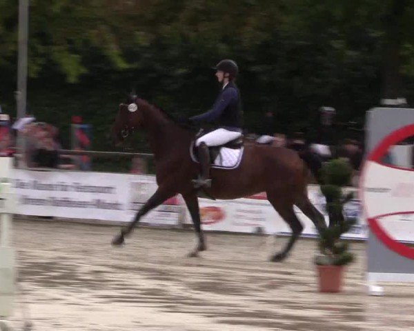 Reitturnier Münster-Albachten 2024